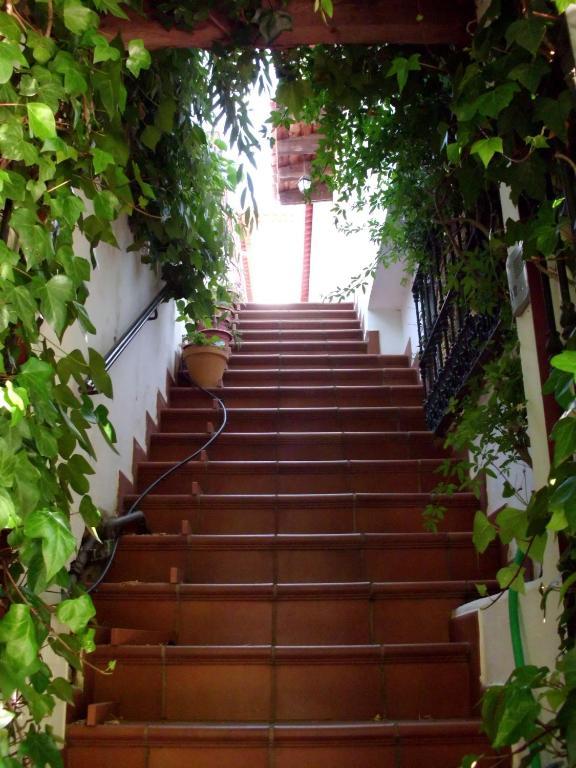 Pension Barrio Фуентеерідос Номер фото